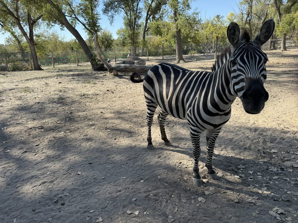 This image is by Riverside Discovery Center.